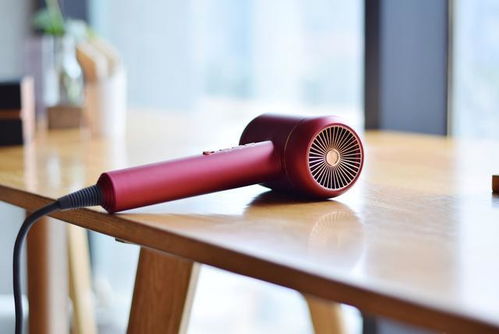 17葉高速渦扇,快吹不傷發,萊克推出首款水離子渦扇吹風機